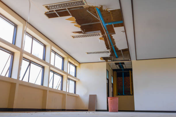 Best Water damage cleanup near me  in Washburn, IL