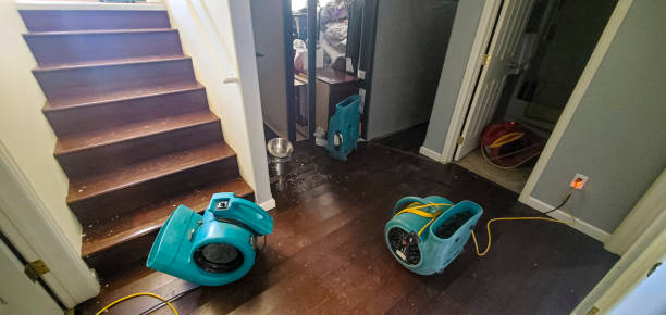 Best Water damage restoration near me  in Washburn, IL