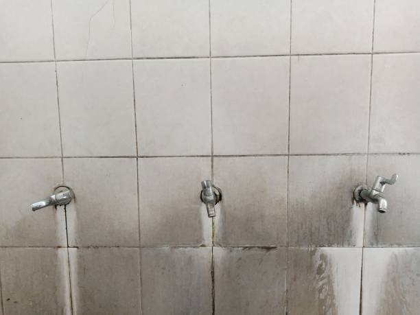 Best Fire Damage Restoration  in Washburn, IL