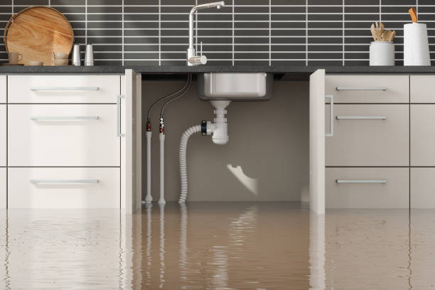Best Water damage restoration near me  in Washburn, IL