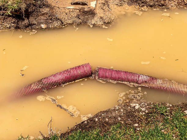 Best Professional water damage repair  in Washburn, IL